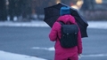 Trešdien vietām Latvijā gaidāms slapjš sniegs un lietus