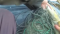 VIDEO ⟩ Salacgrīvas pagasta piekrastē izņemti 14 nelikumīgi zvejas tīkli un izglābtas zivis VIDEO ⟩ Salacgrīvas pagasta piekrastē izņemti 14 nelikumīgi zvejas tīkli un izglābtas zivis