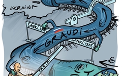 Z graudi Z graudi