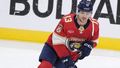 Konkurents Vilmanim? "Panthers" no AHL izsauc uzbrucēju Konkurents Vilmanim? "Panthers" no AHL izsauc uzbrucēju
