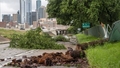 VIDEO ⟩ Teksasā plosās spēcīga vētra. Četri bojāgājušie