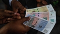 Zimbabves kārtējais mēģinājums iziet no krīzes – ieviesta jauna valūta