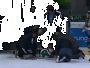 Video: Hokejistam pēc spēka paņēmiena draudz paralīze