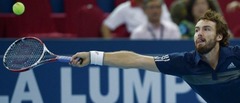 Gulbis iedzīvojies pleca savainojumā