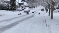 Interneta hits: ASV policisti apledojušās ielas izmanto ziemas prieku baudīšanai