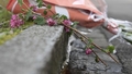 Šveicē uz ielas nodur septiņgadīgu zēnu; aizturēta 75 gadus veca sieviete