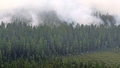 Eksperts: Sibīrijas mežu ugunsgrēki globālajās klimata izmaiņās atstās paliekošas sekas