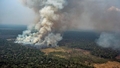 Ugunsgrēki Amazones lietus mežos: kas tos izraisīja?