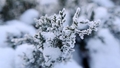 Otrdienas vakarā temperatūra ievērojami pazemināsies, gaidāma aukstākā nakts šonedēļ