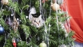 Kaķa un Ziemassvētku eglītes mijiedarbība. Kā pasargāt vienu no otra?
