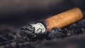 Sodīts kontrabandists, kurš Latvijā no Baltkrievijas iepeldēja kopā ar 70 000 cigarešu