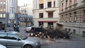 Vējš nogāzis lielu koku Rīgas centrā