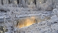 Februāra pirmajā nedēļa temperatūra varētu nokrist līdz -10 grādiem