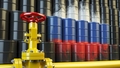 Medijs: Vācija ir gatava atbalstīt Krievijas naftas importa aizliegumu