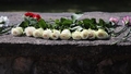 Rīgā notiks piemiņas brīdis Ebreju tautas genocīda upuru piemiņas dienā
