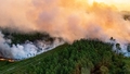 Dienvideiropu plosa mežu ugunsgrēki