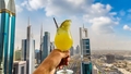 Dubaija atceļ alkohola nodokli, cenšoties veicināt tūrismu