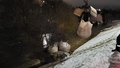 Plūdi Jēkabpils novadā: tiek likti smilšu maisi un atsūknēts ūdens ielās