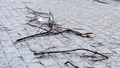 VUGD brīdina par vēja brāzmām Rīgā