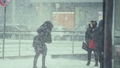 Nedēļas nogalē Latvijā gaidāms aukstums un pamatīgs sniegs
