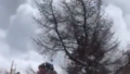 VIDEO ⟩ Lavīnā Šveices Alpu kūrortā bojā gājuši trīs cilvēki