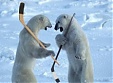 NHL pret KHL jeb Hokeja aukstā kara priekšvakarā