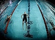 Dubaija atsakās no 2013. gada pasaules čempionāta peldēšanā rīkošanas