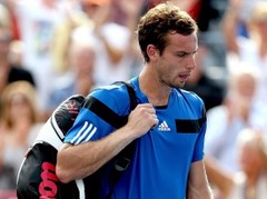 Gulbis lido mājup