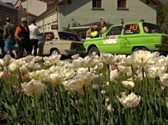 Kurzemes rallija ietvaros notiks sacensības līdz 1984. gadam ražotām automašīnām