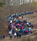 Foto: Siguldas kalnu maratona eksotika