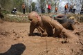 Foto: Ar pozitīvām emocijām noslēdzies šī gada Stipro skrējiens