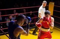 Latvijas bokseriem neveiksmes cīņā par kvalificēšanos Rio