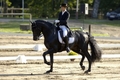 Par Latvijas čempioni iejādē kļūst Airisa Penele ar zirgu Licenciado