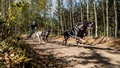 Nedēļas nogalē Ogrē Pasaules kausa posms kamanu suņu sportā