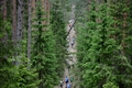 Pašmāju vērienīgākais velo seriāls nesīs Latvijas valsts mežu Kalnu Divriteņu maratona vārdu
