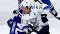 Par karjeras beigām paziņo rezultatīvākais KHL aizsargs Dālmens