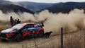 Video: WRC ekipāžu Meksikas rallijā uz ceļa pārsteidz suns