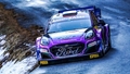 Lēbs šogad varētu aizvadīt vēl trīs WRC posmus