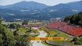 Austrijas ''Grand Prix'' paraksta jaunu līgumu ar F1 līdz 2027. gadam