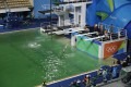 Ūdens Rio olimpiskajā peldbaseinā pēkšņi kļūst zaļš