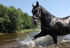 Jātniekam Neretniekam sestā vieta Pasaules kausa posma 'Grand Prix' maršrutā