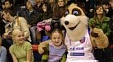 Latvijas Sieviešu basketbola līga nepaliks bez čempionēm