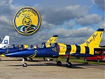«BALTIC BEES» jet team, Авиационная группа высшего пилотажа