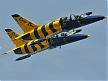 "Baltic Bees jet team" - профессиональная авиационная группа высшего пилотажа