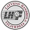 LHF Федерация Гандбола Латвии