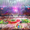 Большинство россиян считает успешным выступление национальной сборной на Олимпиаде в Рио