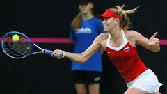Теннисистка Плишкова вышла в полуфинал Australian Open