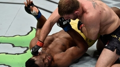 Розенструик нокаутировал Кроудера за девять секунд в рамках UFC
