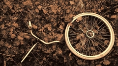 Велосипедиста проткнуло насквозь куском древесины