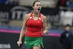 Теннисистка Соболенко обратится в суд для наказания ненавистника ее семьи